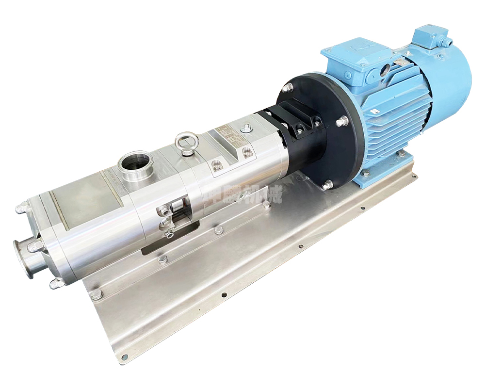 316L节能双螺杆泵